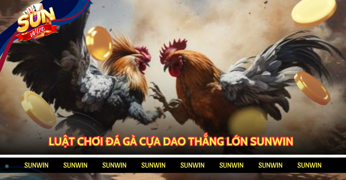 Chiến thuật cược đá gà cựa dao SUNWIN