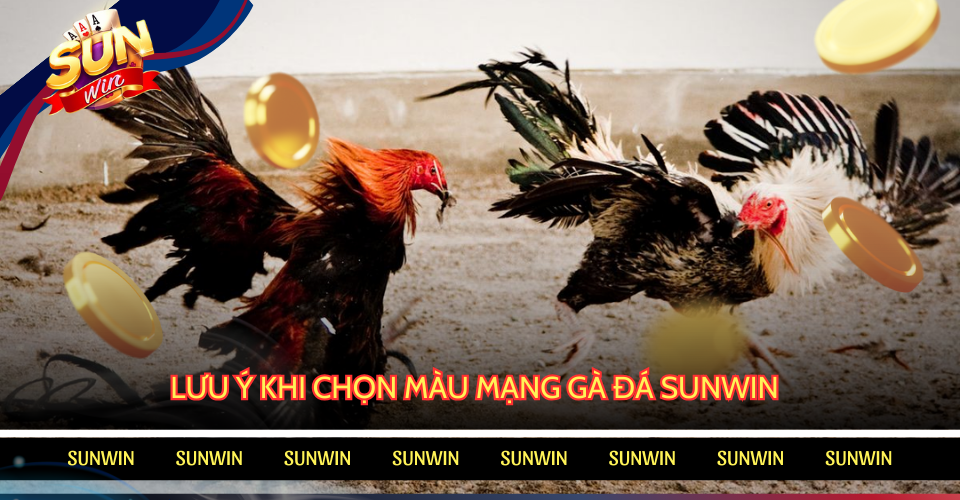 Áp dụng bí quyết chọn màu mạng gà đá thắng lớn tại SUNWIN
