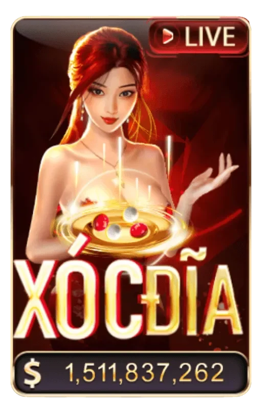 Xóc đĩa banner